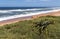 Coastal Landscape in Umdloti Beach in Durban South Africa