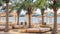 Coastal landscape - view of the beach umbrellas and loungers