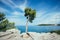 Coastal line in Croatia: Strong green tea, blue ocean and sky