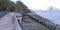 Coastal mangrove boardwalk