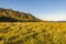 Coastal meadow landscape, tierra del fuego, argentina