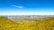 Coastal mountain landscape with fynbos flora in Cape Town