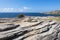 Coastal path from Coogee to Maroubra, Sydney, Australia