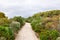 Coastal Path: Dunsborough, Western Australia