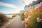 coastal path with flowering shrubs, sea