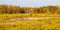 Coastal Prairie Landscape Everglades