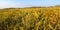 Coastal Prairie Trail Florida Everglades