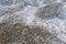 Coastal reed grass stand under white snow in winter. aerial photo