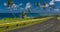 Coastal road lined with palm trees, overlooking tropical ocean, Samoa