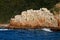 Coastal rocks with cormorant birds