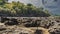 The coastal rocks were exposed at low tide.