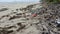 Coastal rubbish and trash on Australian beach