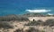 Coastal Sage Community in the Dana Point Headlands Conservation area..