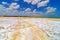 Coastal Salt Flats