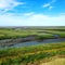 Coastal Salt Marsh