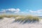 Coastal sand dunes with grassy vegetation. Generative ai