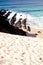 Coastal Sandune, rocks and surf at One Mile Beach, Forster, New