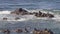 Coastal Seals Pacific Ocean Sea Lions Perched Rocks Oregon Coast