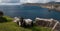 Coastal Sheep In Achill Island