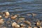 Coastal stones ground by water