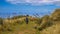 Coastal trail on Otago Peninsula