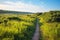 coastal trail running through a wildlife preserve