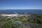 Coastal vegetation at Mindarie Keys, City of Wanneroo, Western Australia