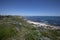 Coastal vegetation at Mindarie Keys, City of Wanneroo, Western Australia