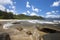 Coastal vegetation north eastern Madagascar