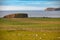 Coastal view with grazing sheep