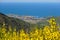 Coastal village landscape Collioure France