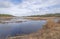 Coastal Wetland on a sunny day