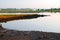 Coastal wetlands on the New England shore