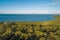 Coastal wetlands of Western Port Bay.