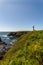 Coastal Yaquina Lighthouse oregon wildflowers