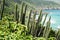 Coastline of Arraial do Cabo, Rio de Janeiro, Brazil