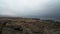 coastline of the Atacama desert at the pacific ocean