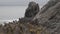 coastline of the Atacama desert at the pacific ocean