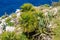 Coastline on Balearic island Mallorca, Spain