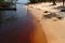 Coastline black River in Amazonas, Brazil. Calm waters to swim, to fish and play