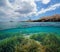 Coastline at Cabo de Palos in Spain and fish with seagrass underwater