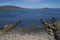 Coastline of Carcass Island in the Falkland Islands.