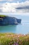 Coastline and cliffs with flowers