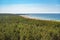 Coastline and coniferous forest of Hiiumaa island