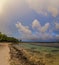 Coastline of coral reef Roatan Honduras