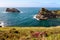 Coastline at Cornish coast near Boscastle, Cornwall, England