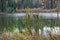 The coastline is covered with colorful shrubs, and behind the autumn forest