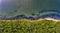 The coastline covered with green forest near the sea.