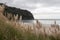 Coastline of Homunga Bay, Waikato region, New Zealand