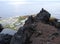 Coastline of Jan Mayen island